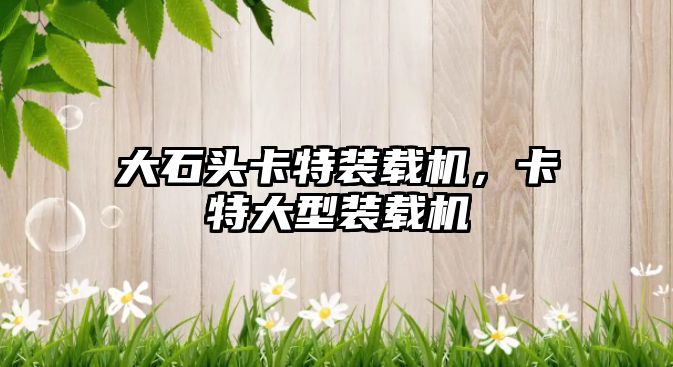 大石頭卡特裝載機(jī)，卡特大型裝載機(jī)