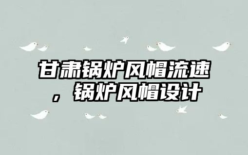 甘肅鍋爐風(fēng)帽流速，鍋爐風(fēng)帽設(shè)計(jì)