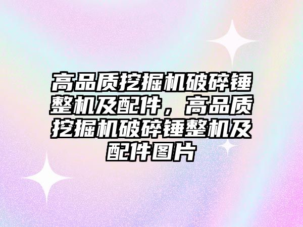高品質(zhì)挖掘機破碎錘整機及配件，高品質(zhì)挖掘機破碎錘整機及配件圖片