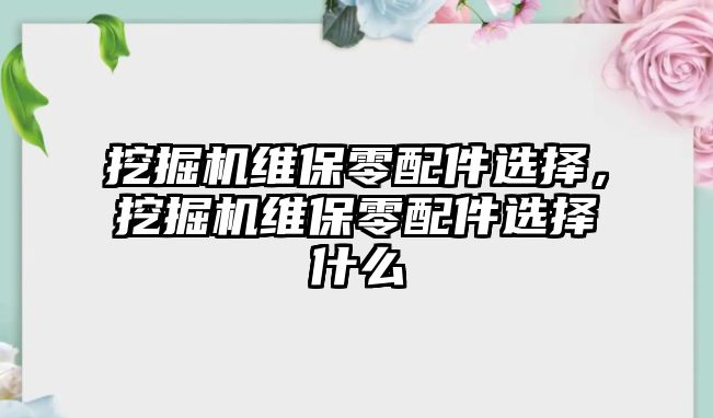 挖掘機(jī)維保零配件選擇，挖掘機(jī)維保零配件選擇什么