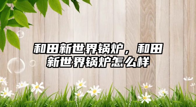 和田新世界鍋爐，和田新世界鍋爐怎么樣
