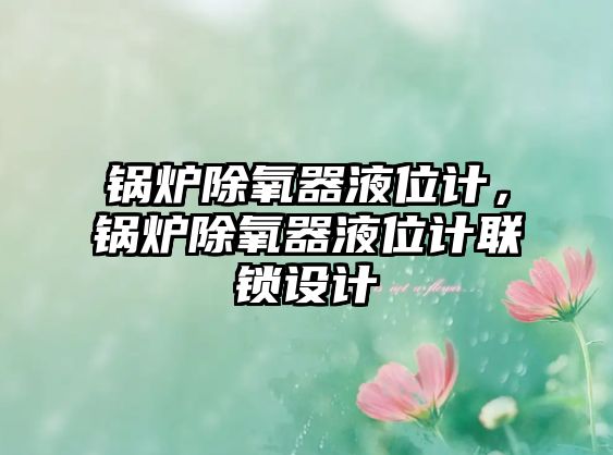 鍋爐除氧器液位計，鍋爐除氧器液位計聯(lián)鎖設(shè)計