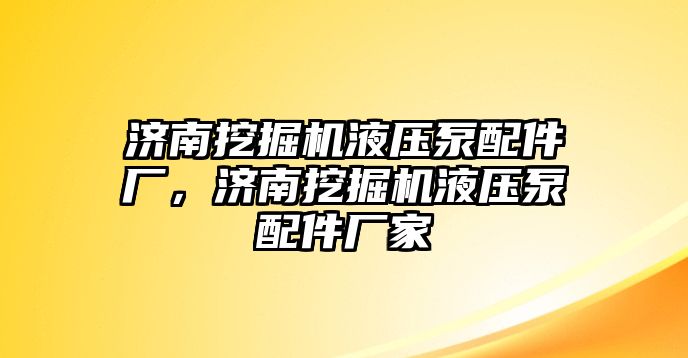 濟(jì)南挖掘機(jī)液壓泵配件廠(chǎng)，濟(jì)南挖掘機(jī)液壓泵配件廠(chǎng)家