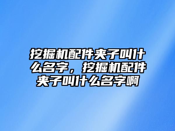 挖掘機(jī)配件夾子叫什么名字，挖掘機(jī)配件夾子叫什么名字啊