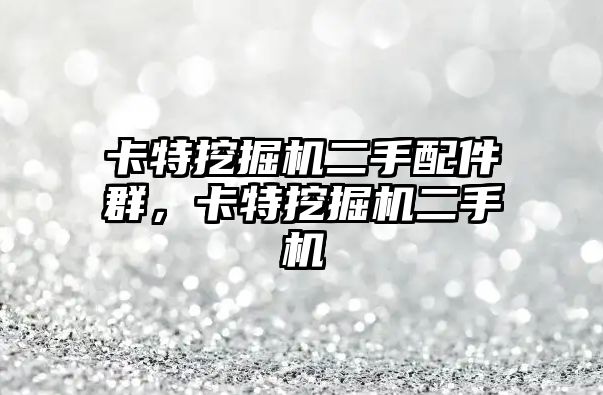 卡特挖掘機(jī)二手配件群，卡特挖掘機(jī)二手機(jī)