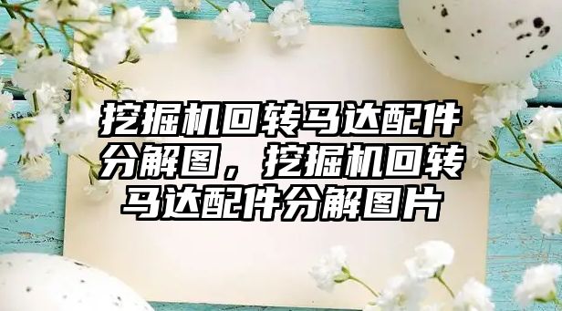 挖掘機(jī)回轉(zhuǎn)馬達(dá)配件分解圖，挖掘機(jī)回轉(zhuǎn)馬達(dá)配件分解圖片