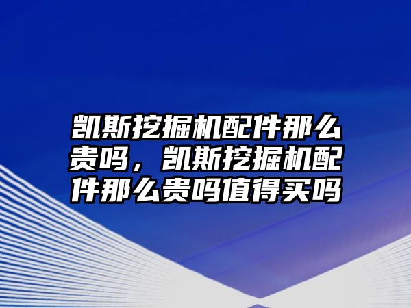 凱斯挖掘機(jī)配件那么貴嗎，凱斯挖掘機(jī)配件那么貴嗎值得買嗎
