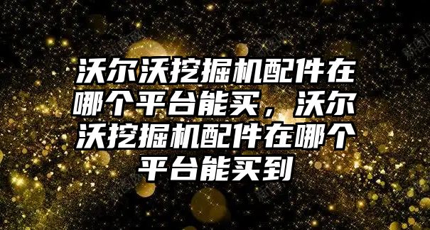 沃爾沃挖掘機配件在哪個平臺能買，沃爾沃挖掘機配件在哪個平臺能買到