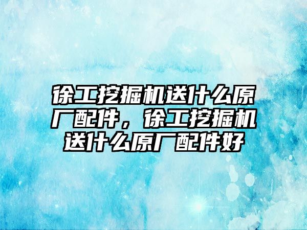 徐工挖掘機送什么原廠配件，徐工挖掘機送什么原廠配件好