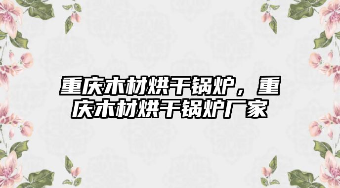 重慶木材烘干鍋爐，重慶木材烘干鍋爐廠家