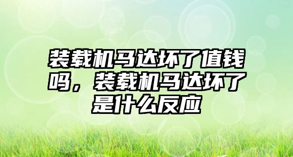 裝載機馬達壞了值錢嗎，裝載機馬達壞了是什么反應(yīng)
