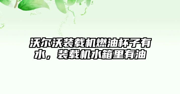 沃爾沃裝載機燃油杯子有水，裝載機水箱里有油