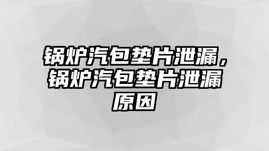 鍋爐汽包墊片泄漏，鍋爐汽包墊片泄漏原因