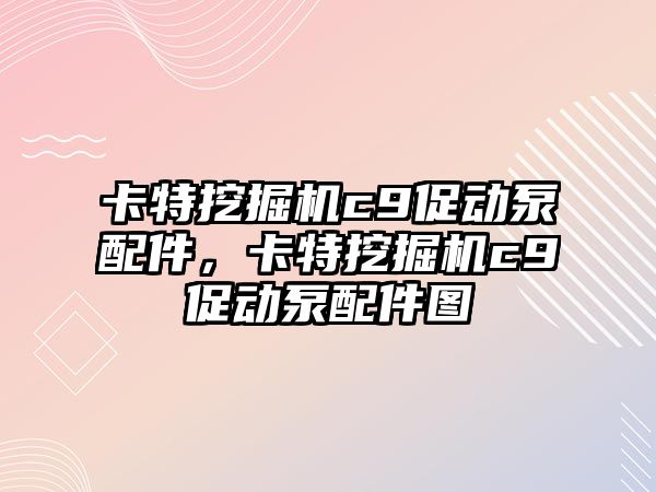 卡特挖掘機(jī)c9促動(dòng)泵配件，卡特挖掘機(jī)c9促動(dòng)泵配件圖