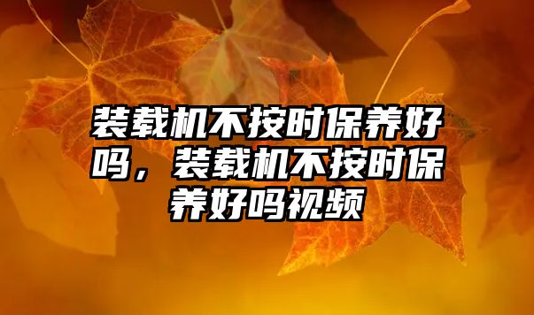 裝載機(jī)不按時(shí)保養(yǎng)好嗎，裝載機(jī)不按時(shí)保養(yǎng)好嗎視頻