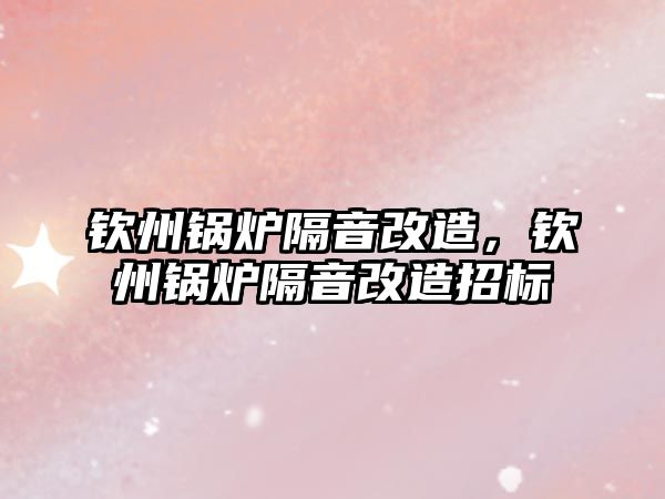 欽州鍋爐隔音改造，欽州鍋爐隔音改造招標