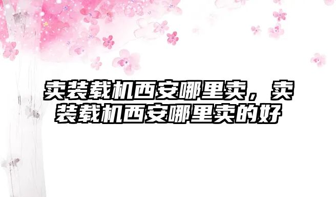 賣裝載機(jī)西安哪里賣，賣裝載機(jī)西安哪里賣的好