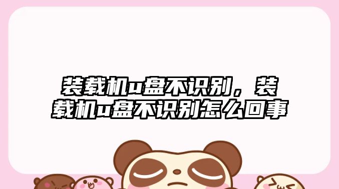 裝載機(jī)u盤不識(shí)別，裝載機(jī)u盤不識(shí)別怎么回事