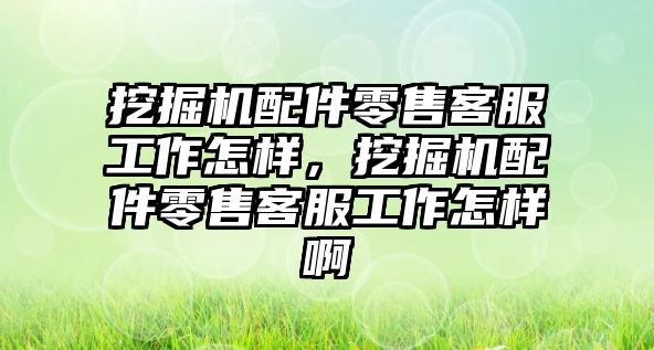 挖掘機配件零售客服工作怎樣，挖掘機配件零售客服工作怎樣啊