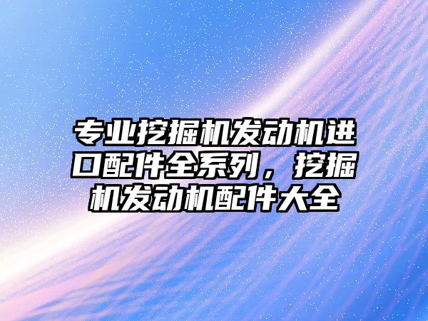 專業(yè)挖掘機(jī)發(fā)動(dòng)機(jī)進(jìn)口配件全系列，挖掘機(jī)發(fā)動(dòng)機(jī)配件大全