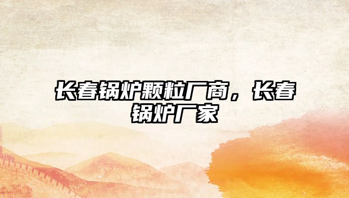 長春鍋爐顆粒廠商，長春鍋爐廠家