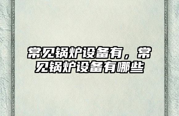 常見鍋爐設(shè)備有，常見鍋爐設(shè)備有哪些