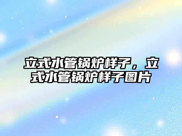 立式水管鍋爐樣子，立式水管鍋爐樣子圖片