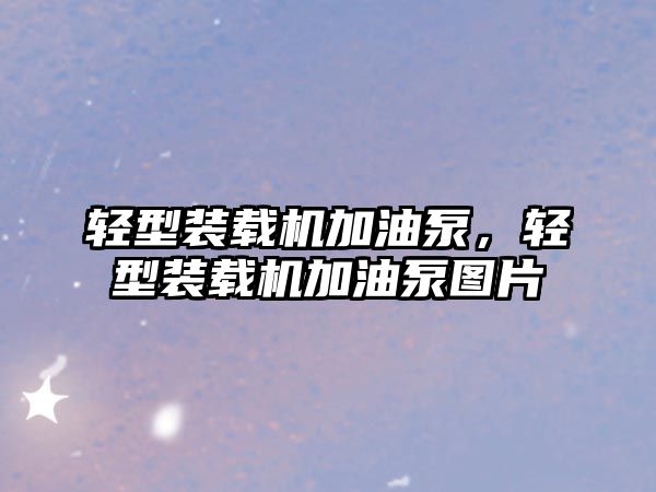 輕型裝載機加油泵，輕型裝載機加油泵圖片