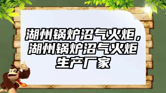湖州鍋爐沼氣火炬，湖州鍋爐沼氣火炬生產(chǎn)廠家