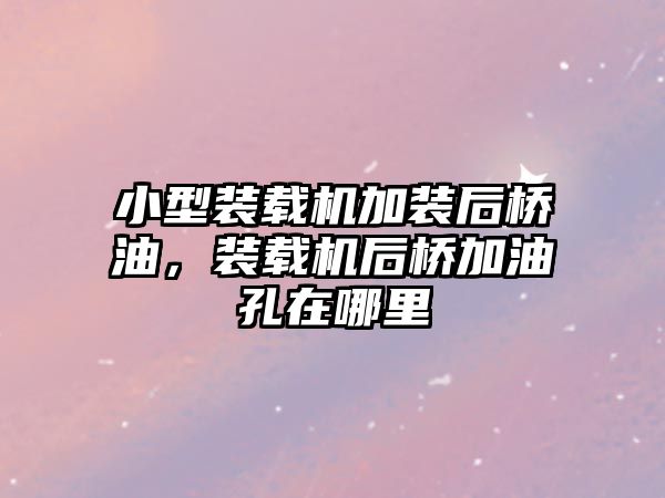 小型裝載機(jī)加裝后橋油，裝載機(jī)后橋加油孔在哪里