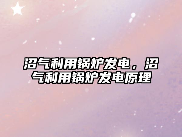 沼氣利用鍋爐發(fā)電，沼氣利用鍋爐發(fā)電原理