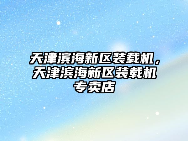 天津?yàn)I海新區(qū)裝載機(jī)，天津?yàn)I海新區(qū)裝載機(jī)專賣店