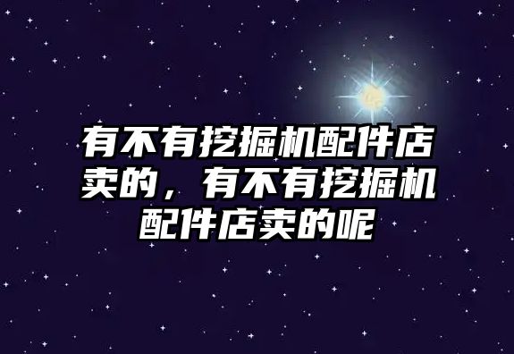 有不有挖掘機(jī)配件店賣的，有不有挖掘機(jī)配件店賣的呢