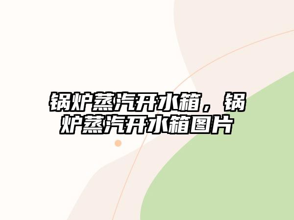 鍋爐蒸汽開(kāi)水箱，鍋爐蒸汽開(kāi)水箱圖片