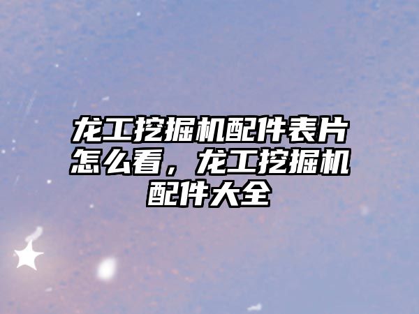龍工挖掘機(jī)配件表片怎么看，龍工挖掘機(jī)配件大全