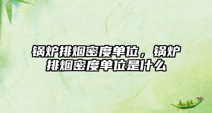 鍋爐排煙密度單位，鍋爐排煙密度單位是什么
