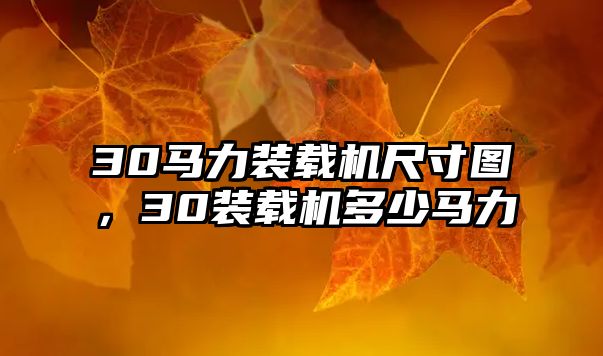30馬力裝載機尺寸圖，30裝載機多少馬力