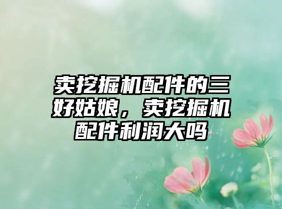 賣挖掘機(jī)配件的三好姑娘，賣挖掘機(jī)配件利潤大嗎