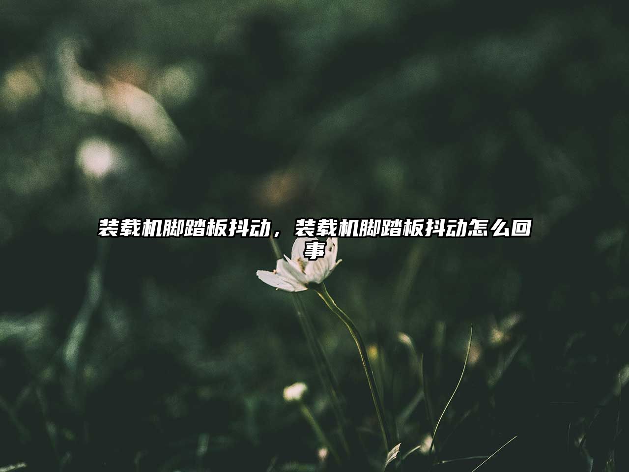 裝載機(jī)腳踏板抖動(dòng)，裝載機(jī)腳踏板抖動(dòng)怎么回事