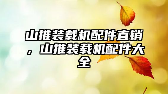 山推裝載機(jī)配件直銷，山推裝載機(jī)配件大全