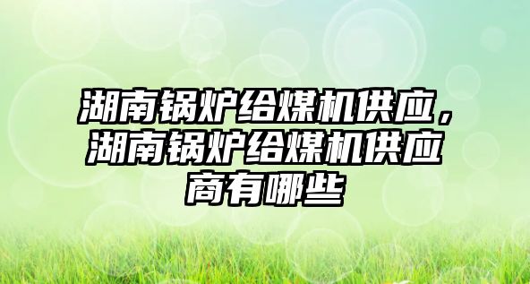 湖南鍋爐給煤機(jī)供應(yīng)，湖南鍋爐給煤機(jī)供應(yīng)商有哪些