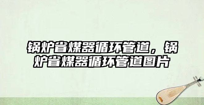鍋爐省煤器循環(huán)管道，鍋爐省煤器循環(huán)管道圖片