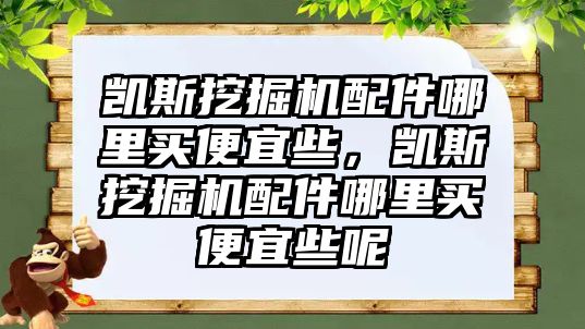凱斯挖掘機(jī)配件哪里買便宜些，凱斯挖掘機(jī)配件哪里買便宜些呢