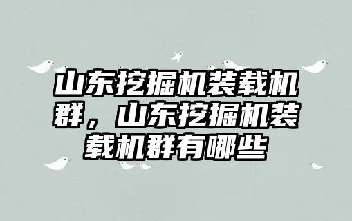 山東挖掘機(jī)裝載機(jī)群，山東挖掘機(jī)裝載機(jī)群有哪些