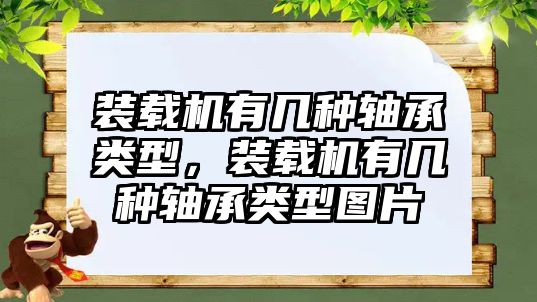 裝載機有幾種軸承類型，裝載機有幾種軸承類型圖片