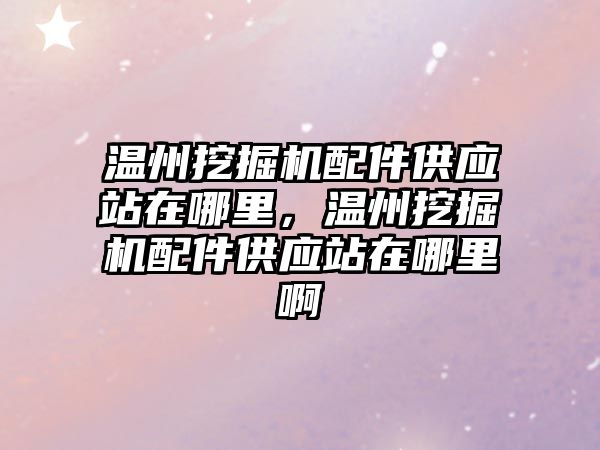 溫州挖掘機配件供應站在哪里，溫州挖掘機配件供應站在哪里啊