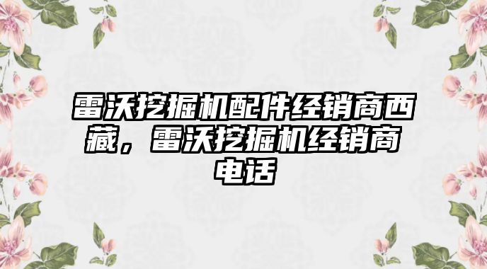 雷沃挖掘機(jī)配件經(jīng)銷商西藏，雷沃挖掘機(jī)經(jīng)銷商電話