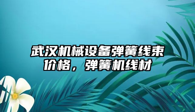 武漢機(jī)械設(shè)備彈簧線束價(jià)格，彈簧機(jī)線材