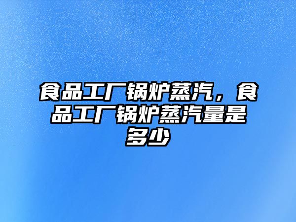 食品工廠鍋爐蒸汽，食品工廠鍋爐蒸汽量是多少