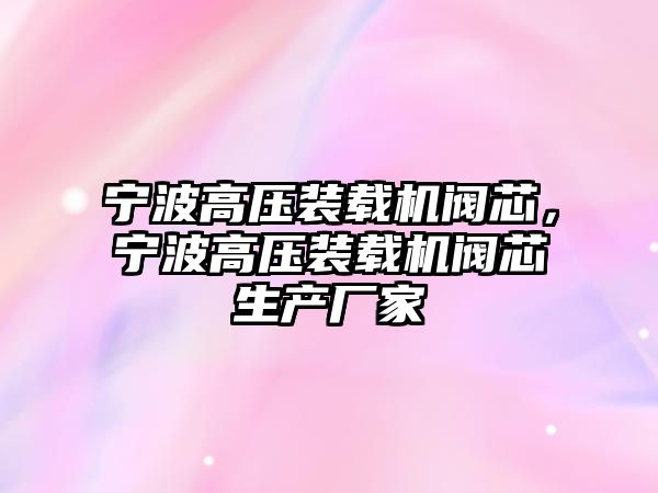 寧波高壓裝載機(jī)閥芯，寧波高壓裝載機(jī)閥芯生產(chǎn)廠家